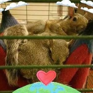 Meet your Posher, Gayle